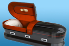 star trek casket