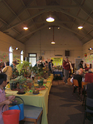 St Jude's, Avondale, Auckland, New Zealand