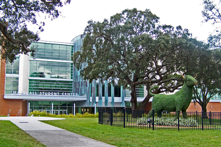 Cornerstone Christian, Tampa, Florida, USA