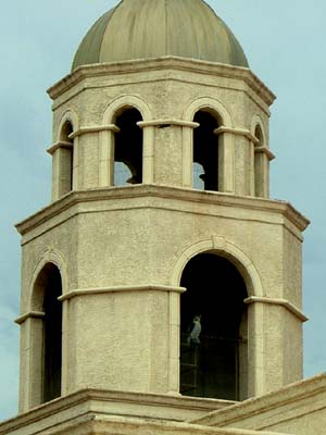 Our Lady of Lourdes, Sun City West, AZ (Owl