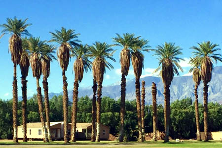 Furnace Creek, Death Valley (Scenery)