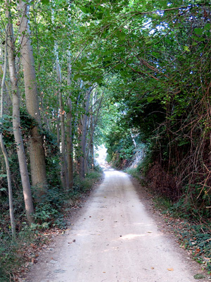 Santo Toribio de Liebana